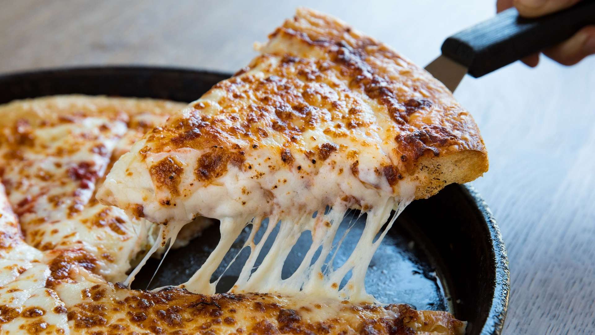 护博格巴 护博格巴